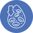 Iron Deficiency