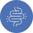 Digestive Support